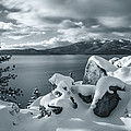 Tahoe Wonderland