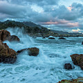 Point Lobos Coastline